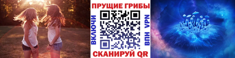 даркнет сайт Качканар Галлюциногенные грибы Magic Shrooms