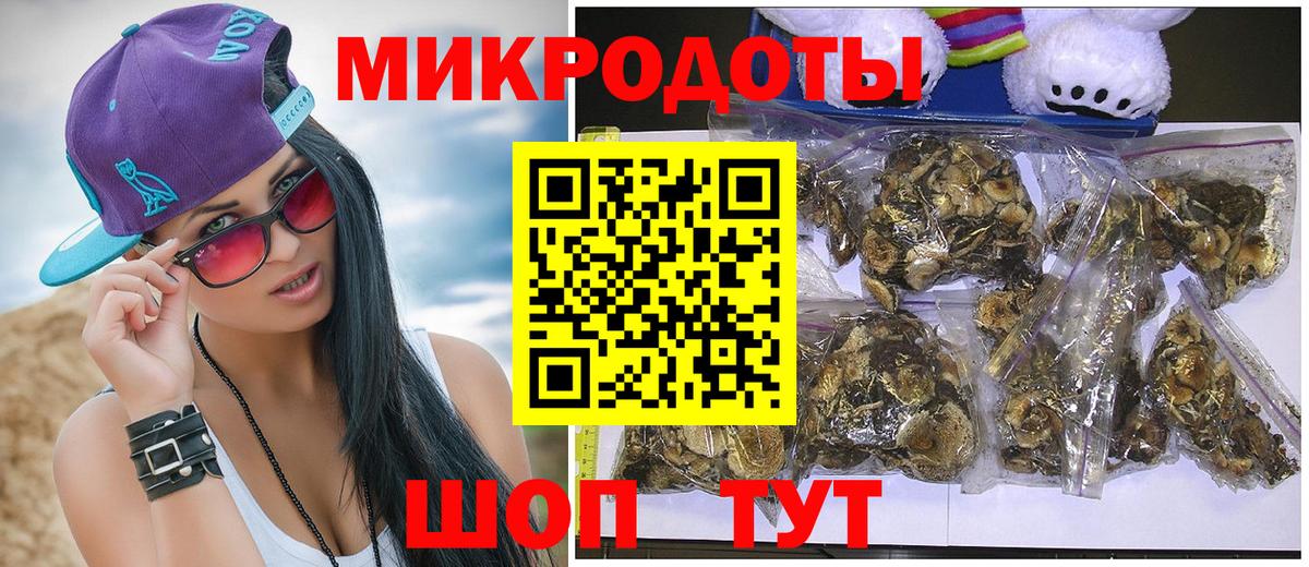 Галлюциногенные грибы Psilocybine cubensis Качканар